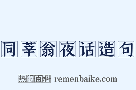 同莘翁夜话造句是什么意思的图片